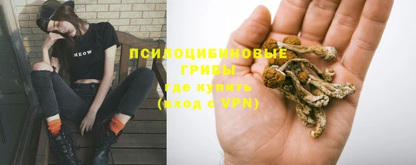 гашик Новокубанск