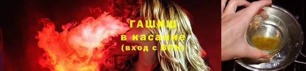 гашик Новокубанск