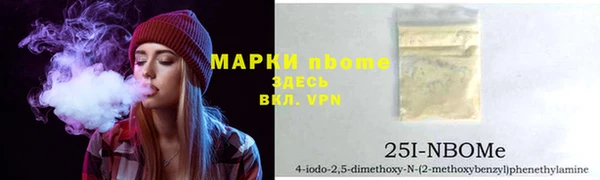 гашик Новокубанск