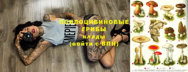винт Новодвинск