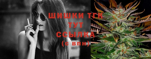 spice Няндома