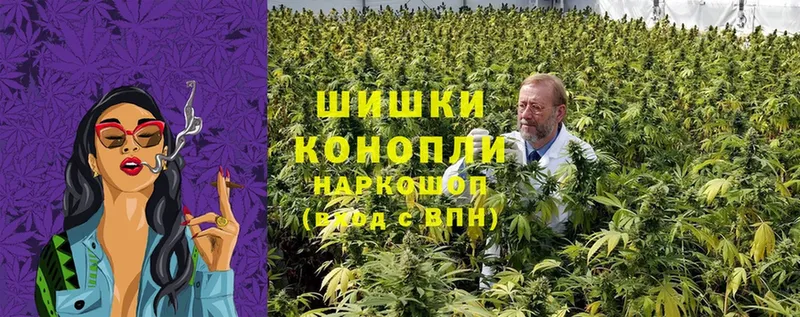 ОМГ ОМГ   где найти   Клинцы  Бошки Шишки ГИДРОПОН 